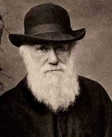 O Guia de Charles Darwin para Escrever e Vender um Livro Eletrónico Eficaz