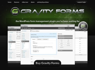 Revisão do Gravity Forms: Poderosos formulários WordPress simplificados